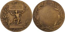 World Coins - France, Medal, Association Polytechnique, Bronze, Dubois,