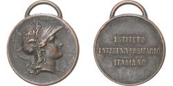 World Coins - Italy, Medal, Istituto Interuniversitario Italiano, Copper,