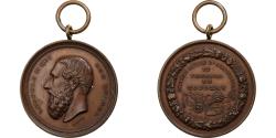 World Coins - Belgium, Medal, Leopold II, Société Royale d'Agriculture de Tournai, Bronze