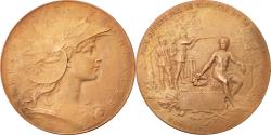 World Coins - France, Medal, Prix de Tir Offert par le Ministre de la Guerre, Politics