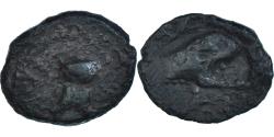 Ancient Coins - Coin, Atrebates, Bronze CAITIO/AMANDI, 60-40 BC, , Bronze