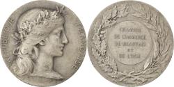 World Coins - France, Medal, French Third Republic, Politics, Society, War, Dupuis.D