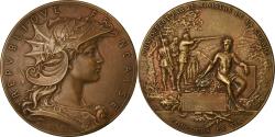 World Coins - France, Medal, French Third Republic, Sports & leisure, Dubois.H,