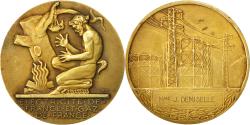 World Coins - France, Medal, Électricité de France et gaz de France, Dropsy, , Gilt