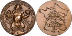 World Coins - France, Medal, De Terre en Vigne, 1969, Bronze, MDP,