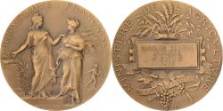 World Coins - France, Medal, Direction des Haras, Concours Central Hippique de Paris, 1913