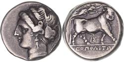 Ancient Coins - Coin, Campania, Didrachm, ca. 325-241 BC, Neapolis, , Silver, HGC:1-454