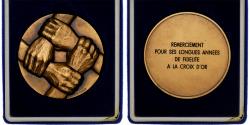 World Coins - France, Medal, Fidélité à la Croix d'Or, Bronze, Leognany,
