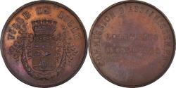 World Coins - France, Medal, Ville de Lille - commission d'assainissement, , Bronze
