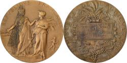 World Coins - France, Medal, Concours Régional Hippique de La Roche-sur-Yon, 1903, Bronze