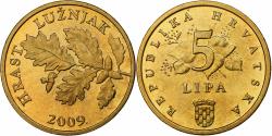 World Coins - Croatia, 5 Lipa, 2009, Brass plated steel, , KM:5