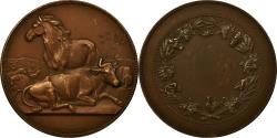 World Coins - France, Medal, Concours d'Agriculture, Animaux, Dubois.A, , Bronze