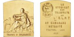 World Coins - France, Plaquette, Travail et Solidarité, 1929, Gilt Bronze, Vernon,