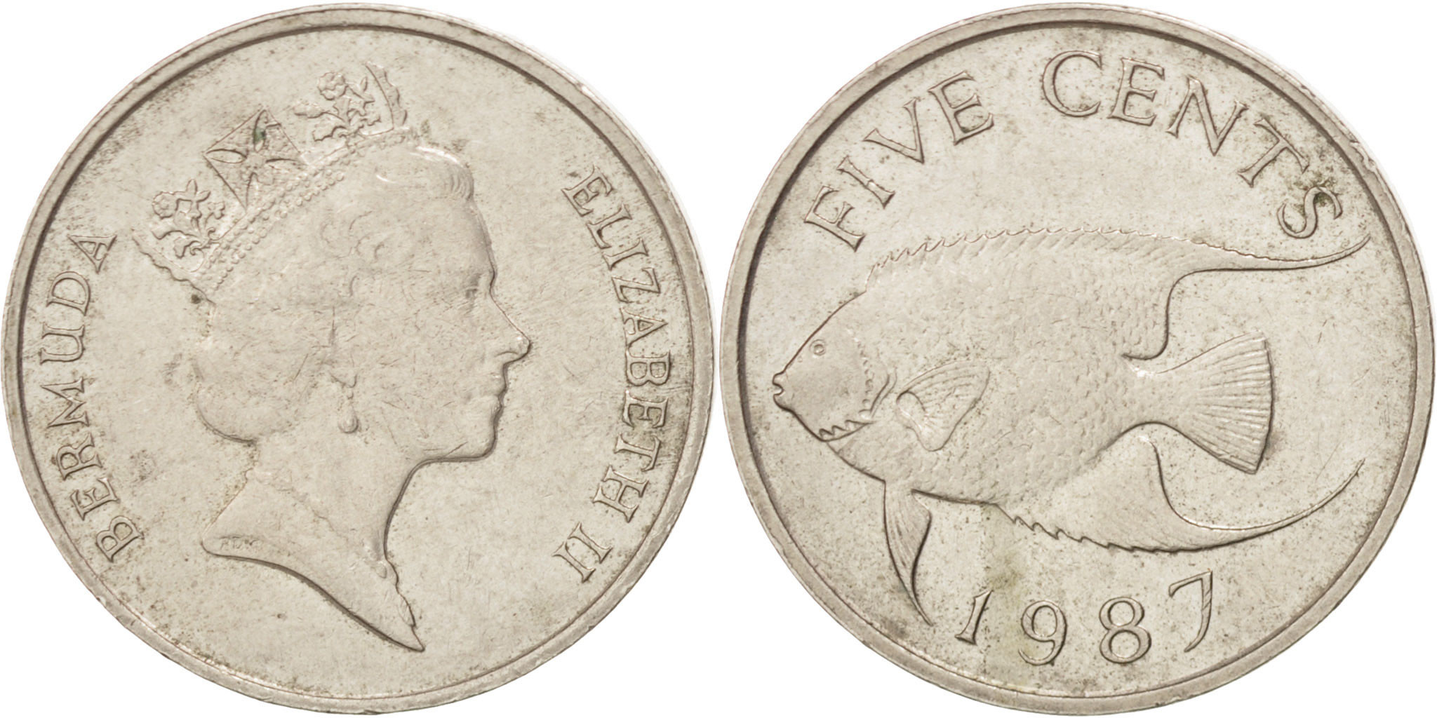 時代　獣口　銅瓶　2379g 幅約20.5㎝　トヒチサ　東さ7-1031③ 和平フレイズ 千歳 ちとせ 銅ケトル