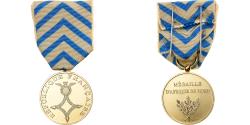 World Coins - France, Commémorative d'Afrique du Nord, Medal, Excellent Quality, Gilt Bronze