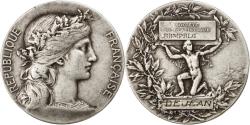 World Coins - France, Medal, French Third Republic, Sciences & Technologies, Dupuis.D /