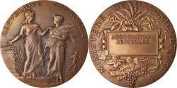 World Coins - France, Medal, Ministère de l'Agriculture, Associations Agricoles, Dubois.A