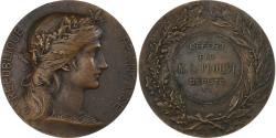 World Coins - France, Medal, Offert par M.L. Proust, Député, Bronze, Dubois.H,