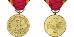 World Coins - Poland, Varsovie, WAR, Medal, 1939-1945, Excellent Quality, Gilt Bronze, 33