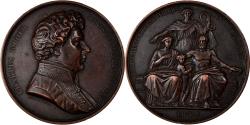 World Coins - Belgium, Medal, Charles Rogier, Premier Ministre, Politics, Society, War, 1852