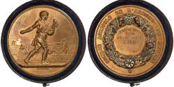World Coins - France, Medal, Comice Agricole de l'Arrondissement de Nevers, 1884, Bronze