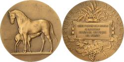 World Coins - France, Medal, Direction des Haras, Concours Central Hippique de Paris, Bronze