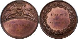 World Coins - France, Medal, Société Protectrice des Animaux, 1882, Copper, Caqué