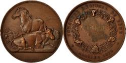 World Coins - Algeria, Medal, Concours Régional de Bône, 1875, Dubois.A, , Copper