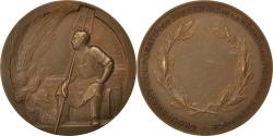 World Coins - France, Medal, French Fifth Republic, Business & industry, , Bronze