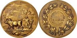 World Coins - Belgium, Medal, Business & industry, 1931, , Bronze