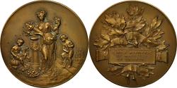 World Coins - France, Medal, Cercle Horticole de Maubeuge et Environs, Blondelet,
