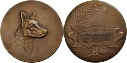 World Coins - France, Medal, Club du Chien de Défense, Armentières, Bronze, Huguenin