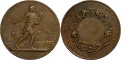 World Coins - France, Medal, Comice Agricole de Carvin, Bronze,