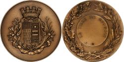 World Coins - France, Medal, Ville de Roubaix, Bronze, Dubois.H,