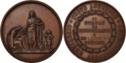 World Coins - France, Medal, Second French Empire, Politics, Society, War, Caqué,