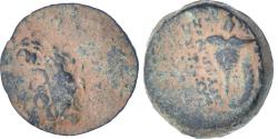 Ancient Coins - Seleukid Kingdom, Diodote Tryphon, Æ, 142-138 BC, Antioch, Bronze,