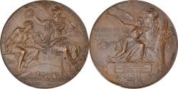 World Coins - France, Medal, Exposition universelle de Paris, Arts & Culture, 1889, Bottée