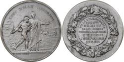 World Coins - France, Medal, Concours des races bovines - Haubourdin, Silver, Dubois.H
