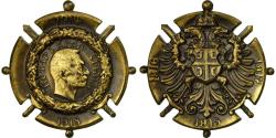 World Coins - Serbia, Médaille commémorative de Serbie, Medal, 1915-1917, Excellent Quality