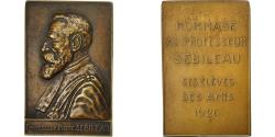 World Coins - France, Medal, Professeur Sébileau, 1926, De Hérain, , Bronze