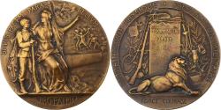 World Coins - France, Medal, Pro Patria, Préparation Militaire, 1911, Bronze, Grandhomme