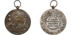World Coins - France, Medal, Union Régionale des Patronages du Sud-Ouest, 1909, Bronze