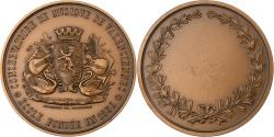World Coins - France, Medal, Conservatoire de Musique de Valenciennes, Bronze, Brasseux