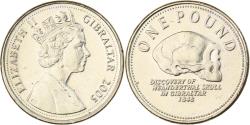 World Coins - Gibraltar, Elizabeth II, Pound, 2005, Nickel-brass, , KM:1091