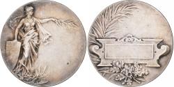 World Coins - France, Medal, Femme aux Rameaux, Silvered bronze,