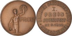 World Coins - Germany, Medal, Berliner Schwimmer Bund, Birkenwerder, Sports & leisure, 1933