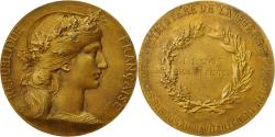 World Coins - France, Medal, Marianne, Ministère de la Guerre, Dupuis.D, , Vermeil