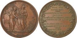 World Coins - France, Medal, Elie de Beaumont, Fête des Bonnes Gens, Seigneurie de Canon