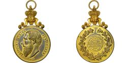 World Coins - Belgium, Medal, Leopold II , Koning, 1900, , Copper Gilt