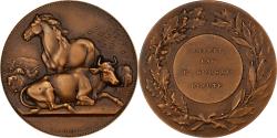 World Coins - France, Medal, Offert par P. Goussu, Député, Bronze, Alphée Dubois,